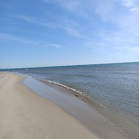 Sagunto100 Metros De La Playa公寓 外观 照片