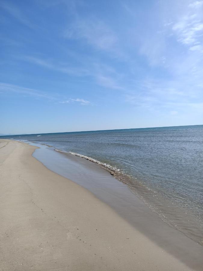 Sagunto100 Metros De La Playa公寓 外观 照片